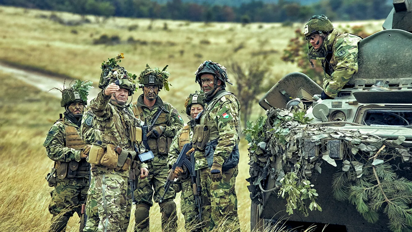 Folytatódik a Bátor Harcos