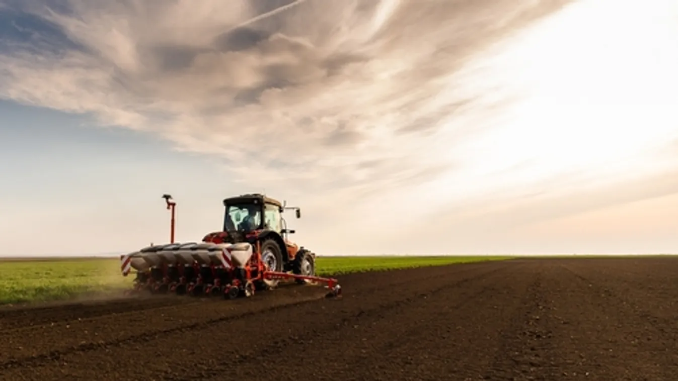 Agrárminisztérium: folytatódik a földértékesítési program