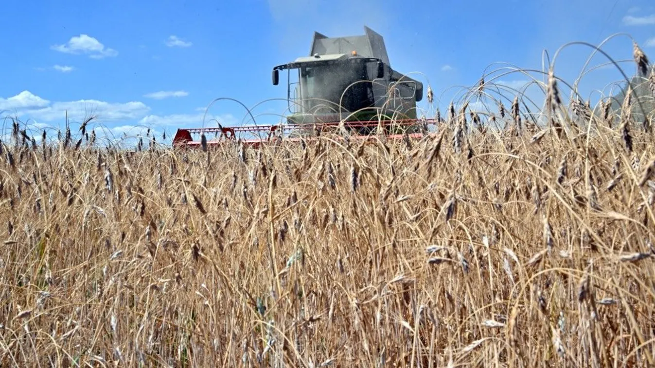 Külföldi érdekeltségek is vannak a megszállt ukrán földeken