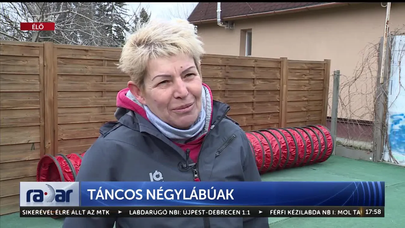 Radar - Táncos négylábúak