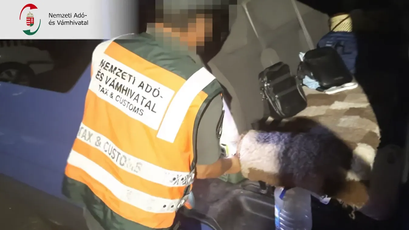 Radar - Blokkolt szőrgombócok