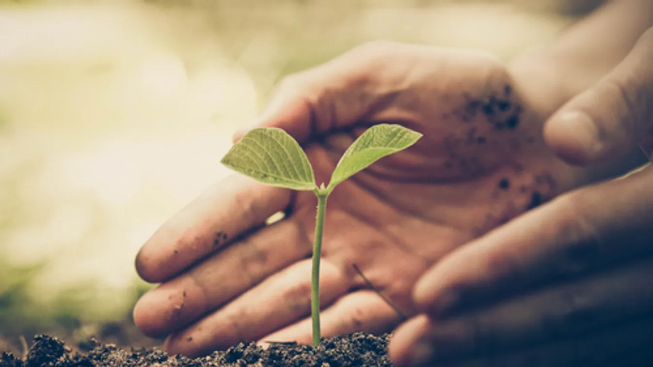 Orbán Viktor: Klímavédelmi akciótervet fogadott el a kormány