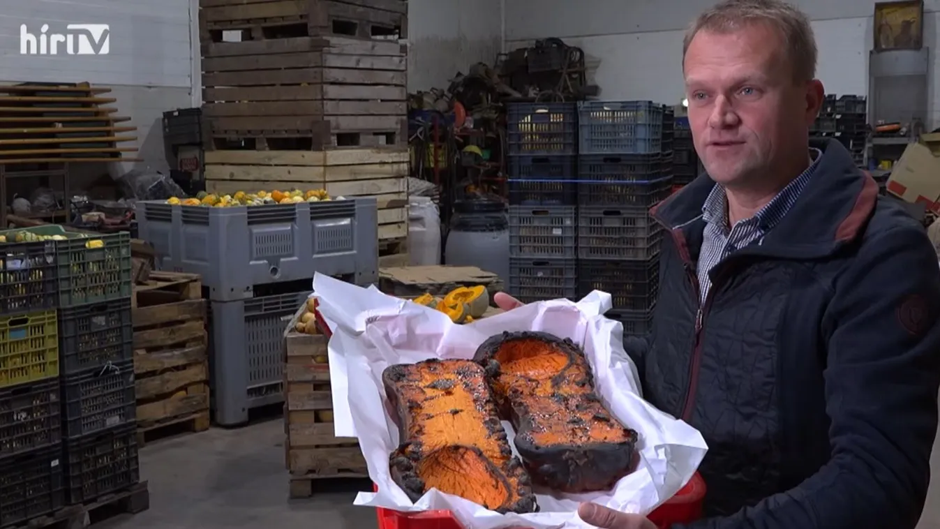 Soroló:  Magyar tök lepi el az európai nagyáruházakat