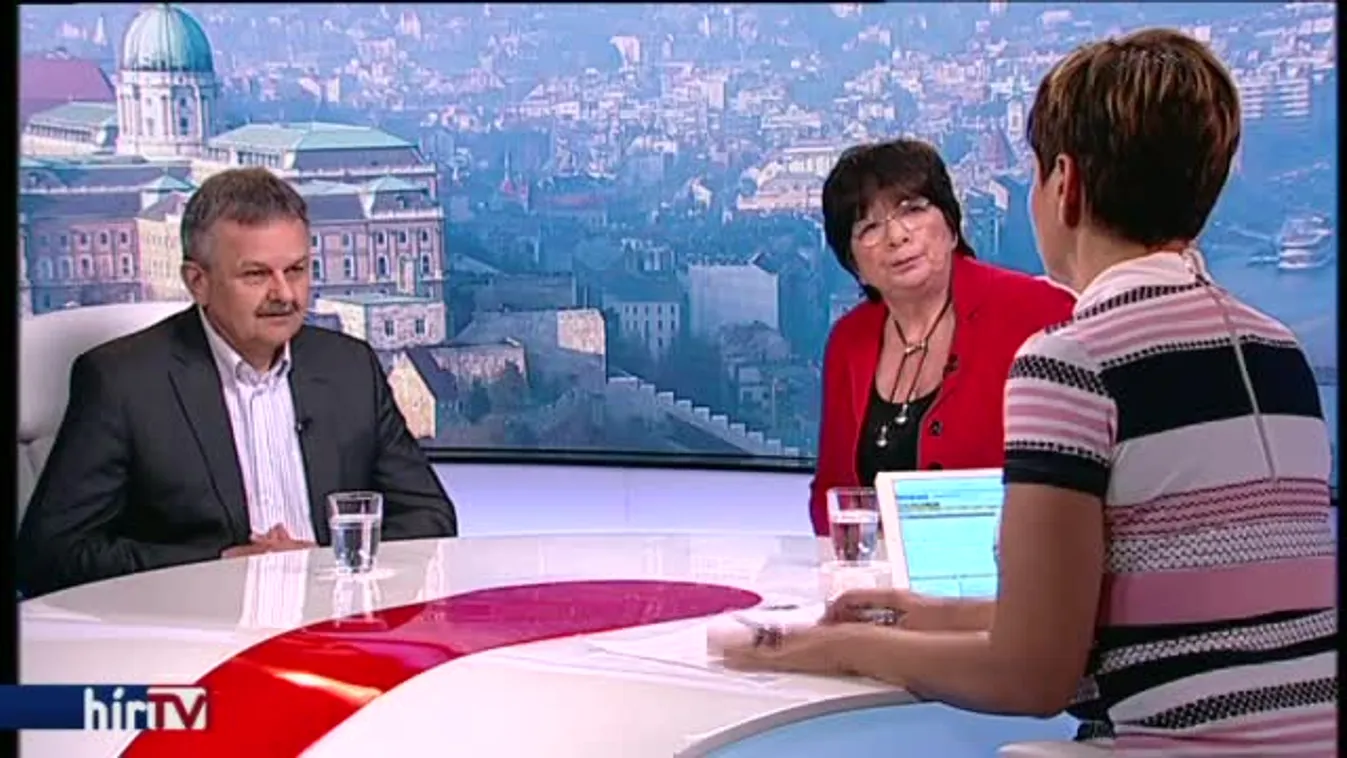 „Bocsi, hülye vagyok”