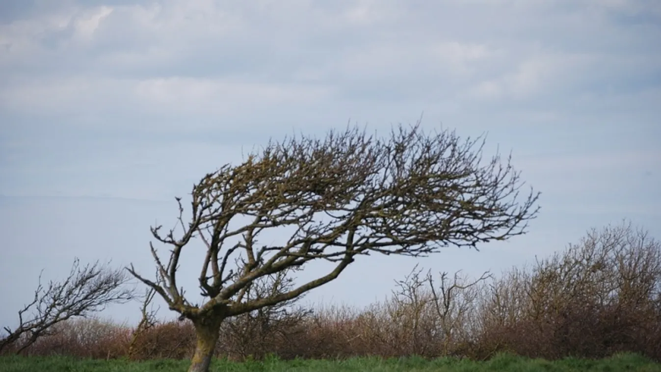 Vasárnap viharos szélre kell készülni