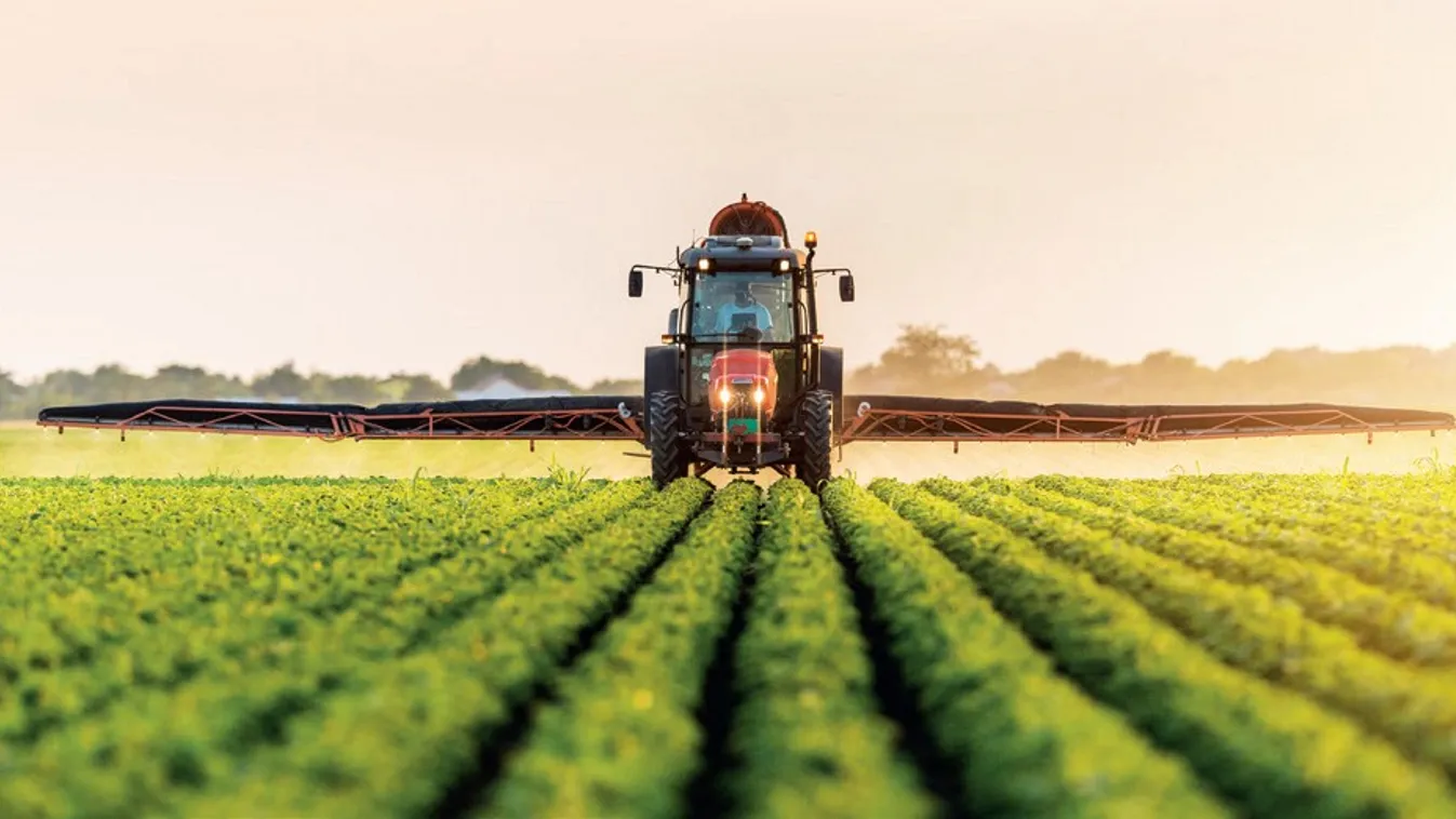 Lehetővé válik a külföldi idénymunkások foglalkoztatása a mezőgazdaságban
