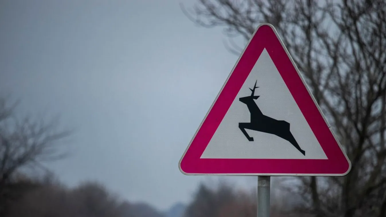 Teljesen lezárják ma az M1-es autópályát Nagyegyházánál