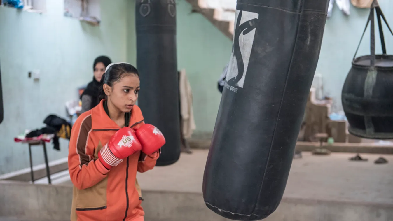 Lányos boksz – Felfedező (ismétlés)