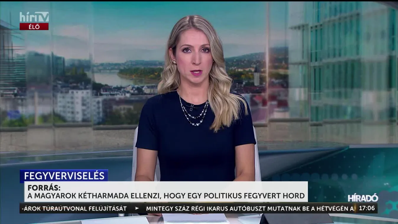 A magyarok kétharmada ellenzi, hogy egy politikus fegyvert hord