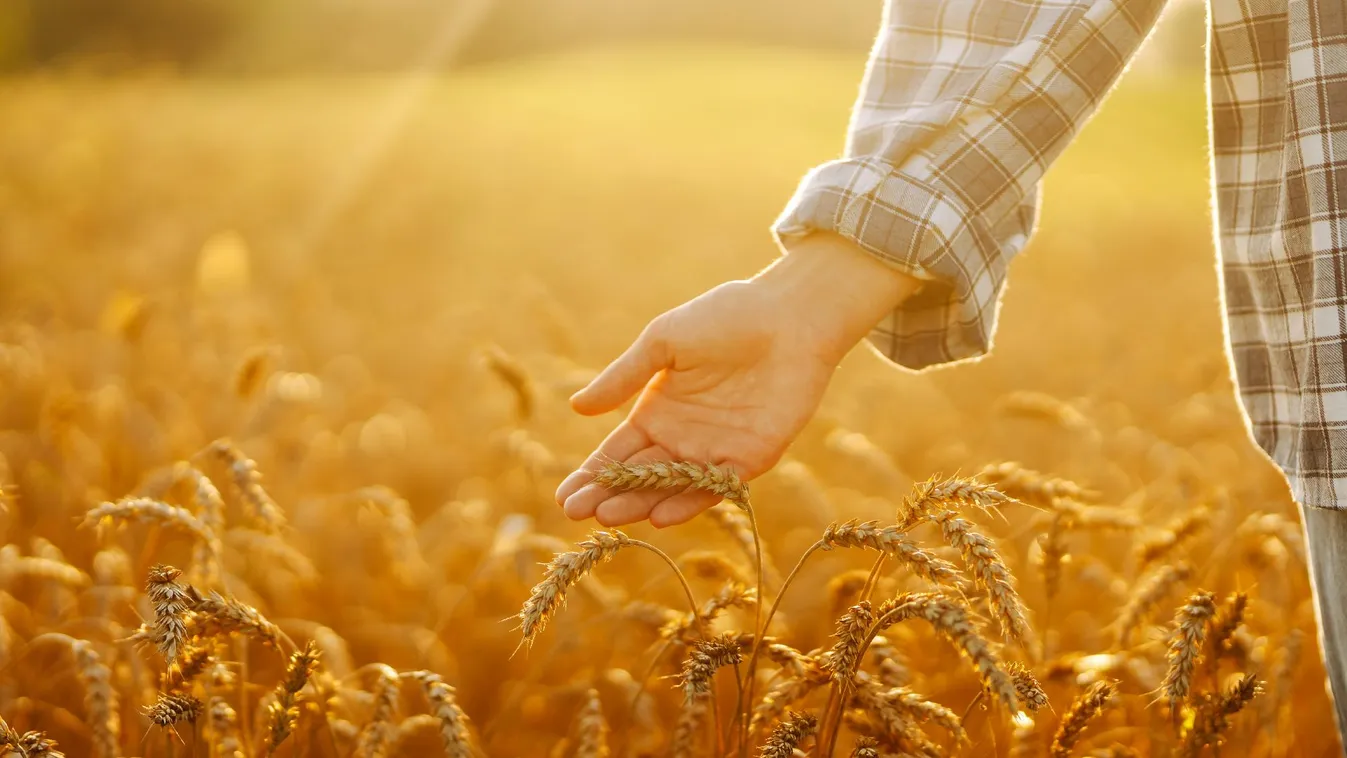 Brüsszel hátat fordít a gazdáknak? Nagy István kemény üzenetet küldött