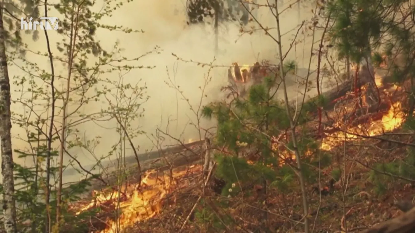 Erdőtüzek Oroszországban