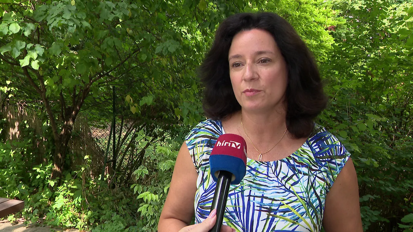 Negyedmillió házaspár vette fel a babaváró kölcsönt az elmúlt öt évben + videó