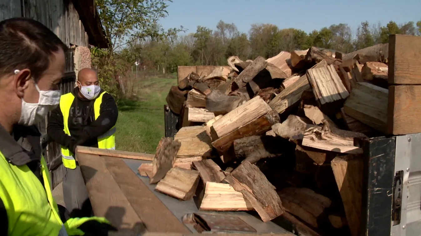 Engedély nélkül tűzifa sem gyűjthető az erdőkben