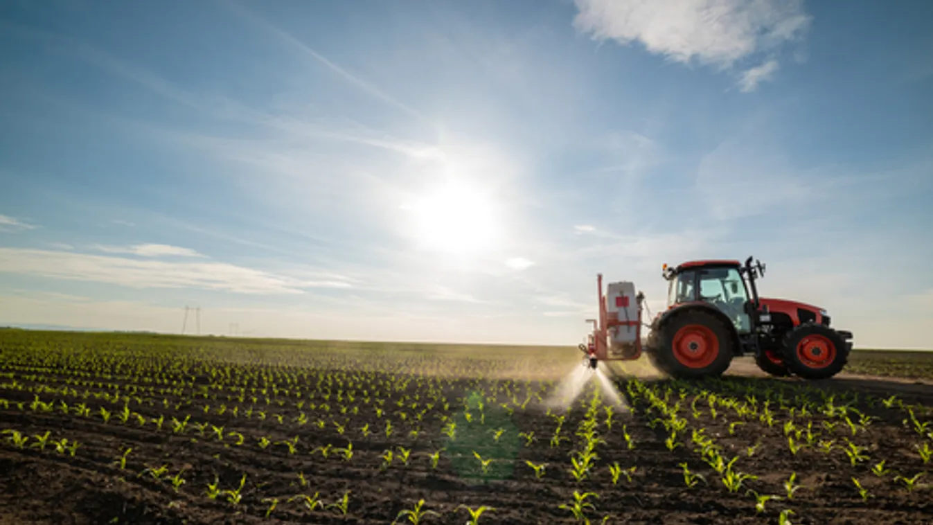 AM-államtitkár: versenyképességi és fenntarthatósági kérdés a mezőgazdaság fejlesztése
