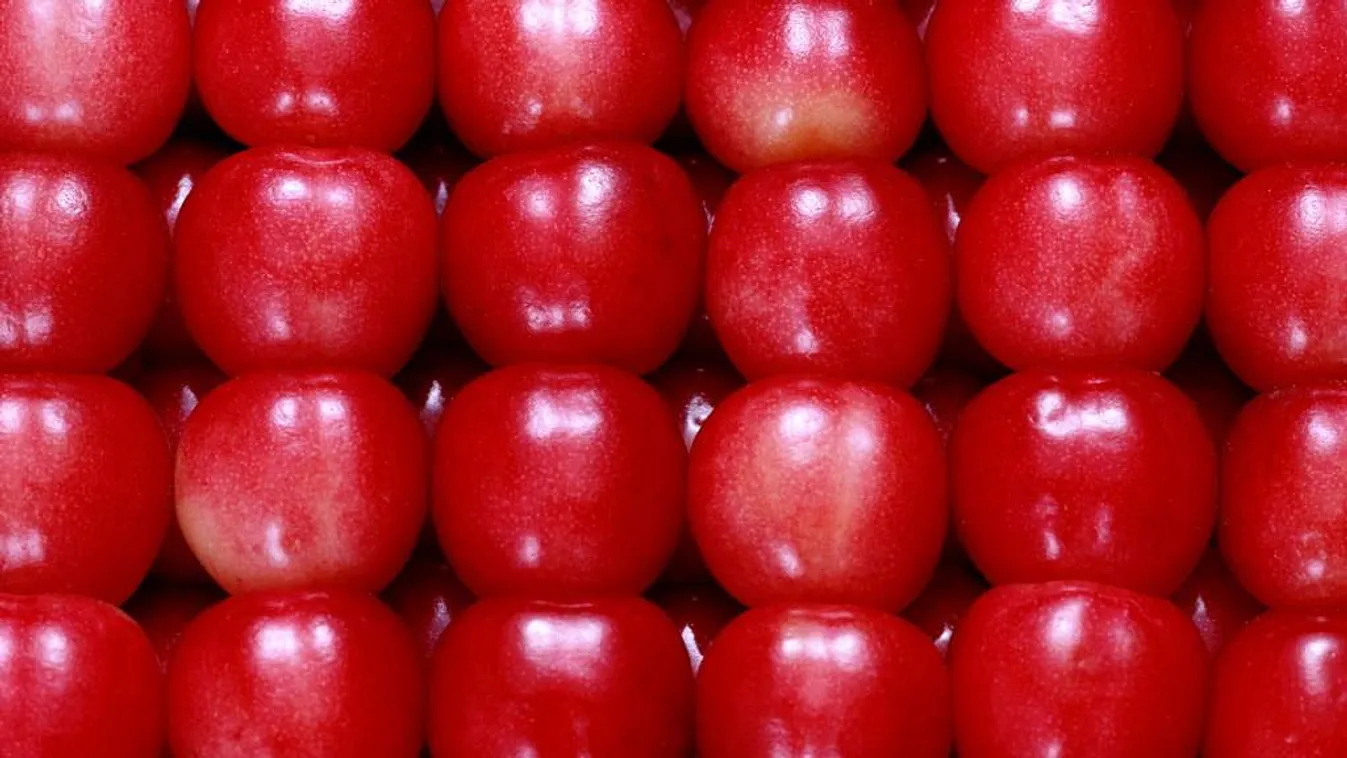 Egy állami cég adósa maradt az Orbán rokonságához köthető vállalkozás