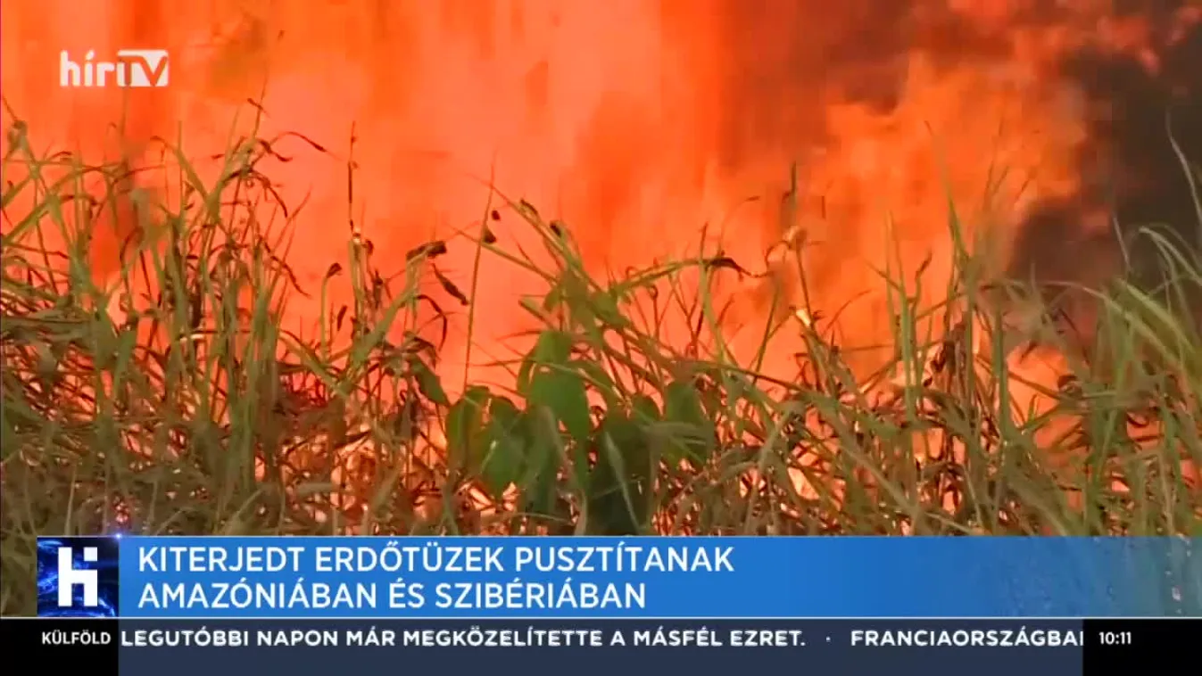 Kiterjedt erdőtüzek pusztítanak Amazóniában és Szibériában