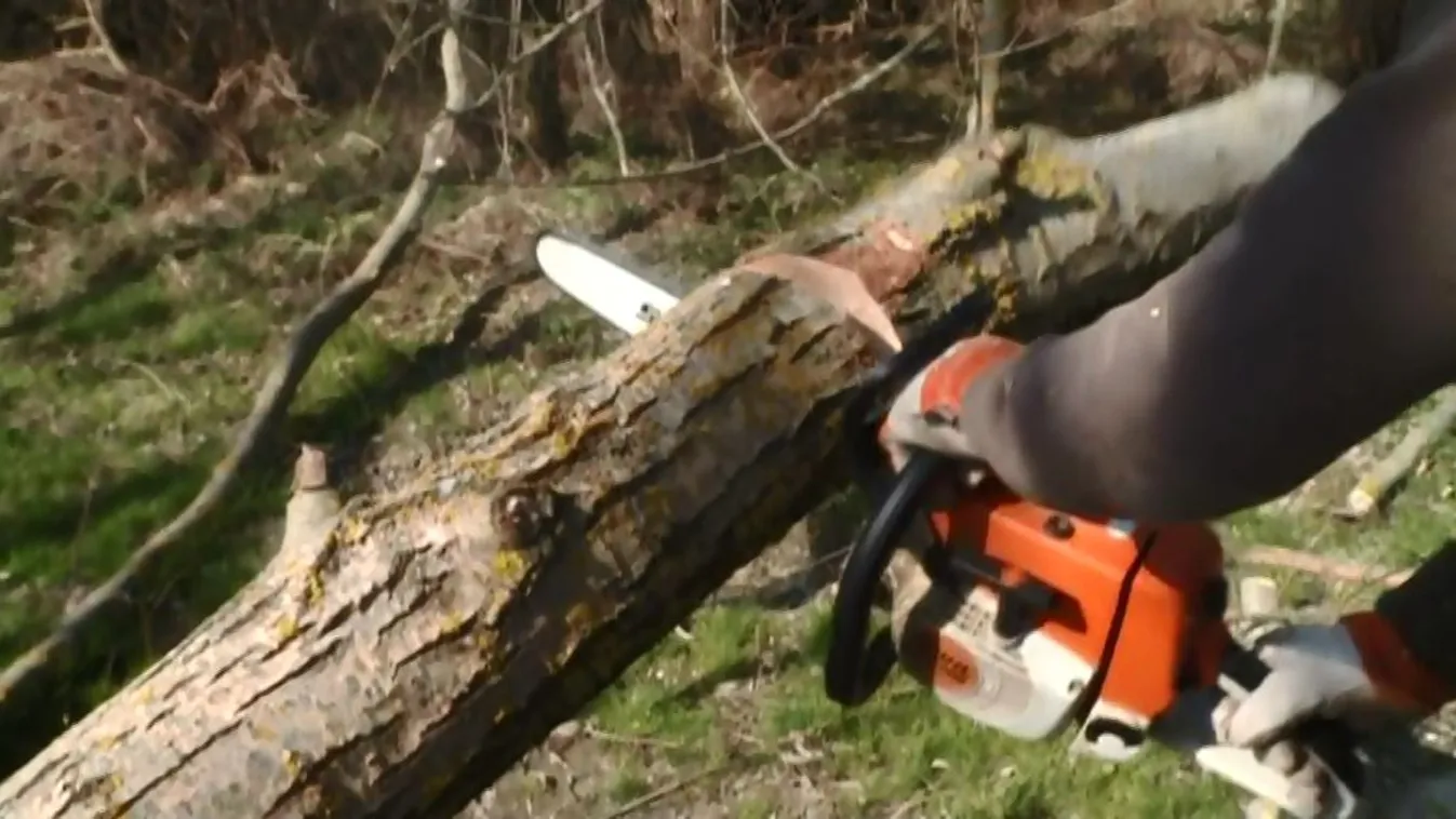 Pusztítók – Panaszkönyv