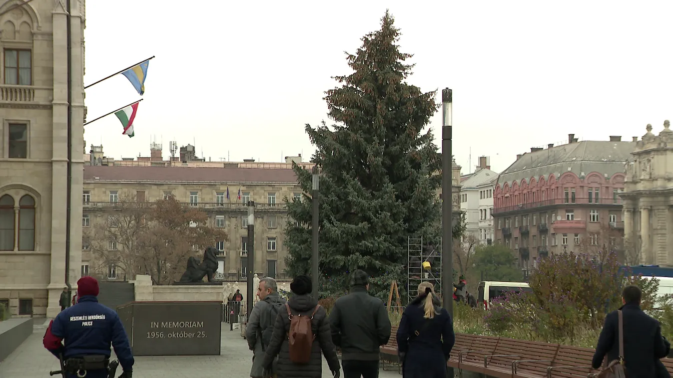 Radar - Idén Apcról érkezett az ország karácsonyfája