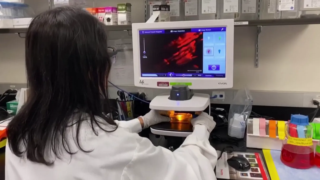 Az unió vizsgálja a kínai Sinovac oltóanyagát