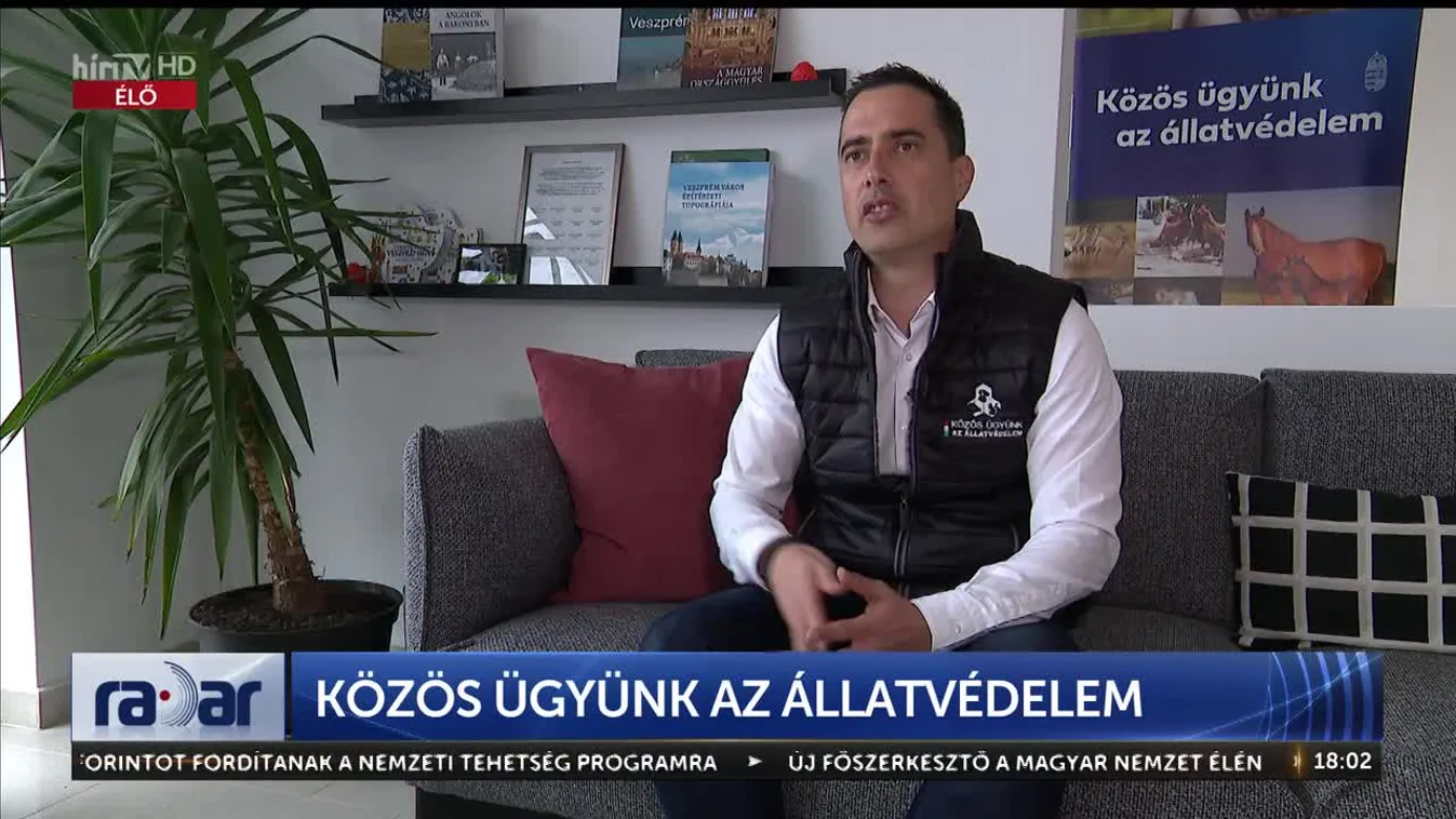 Radar - Közös ügyünk az állatvédelem