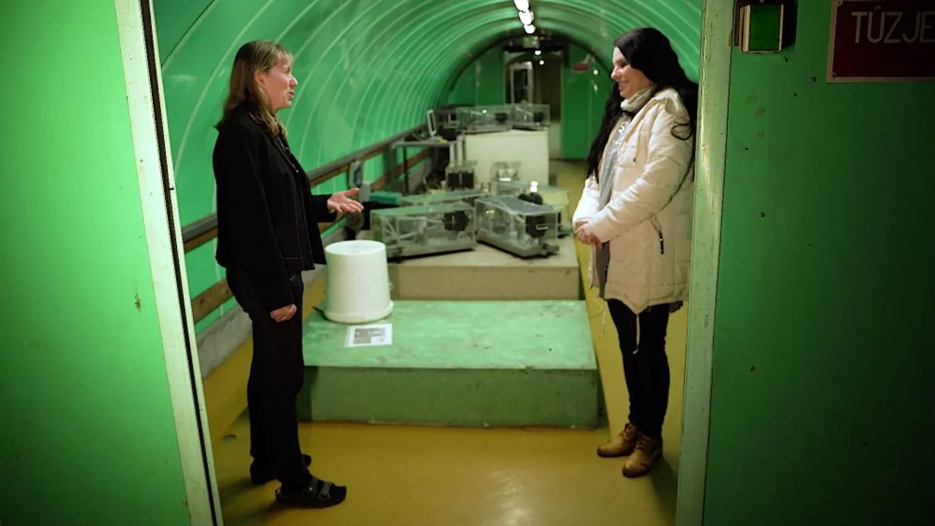 Remeg a föld alattunk