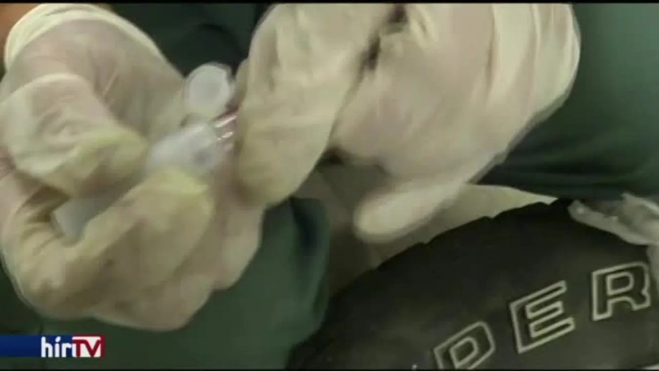 Hatalmas drogfogás Röszkén