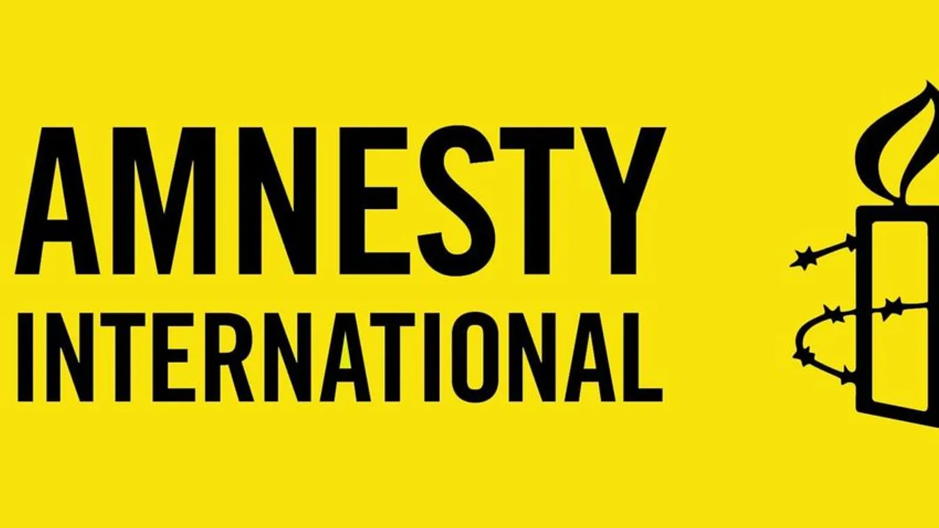 A számlagyáros jogász testvére élen járt Magyarország lejáratásában