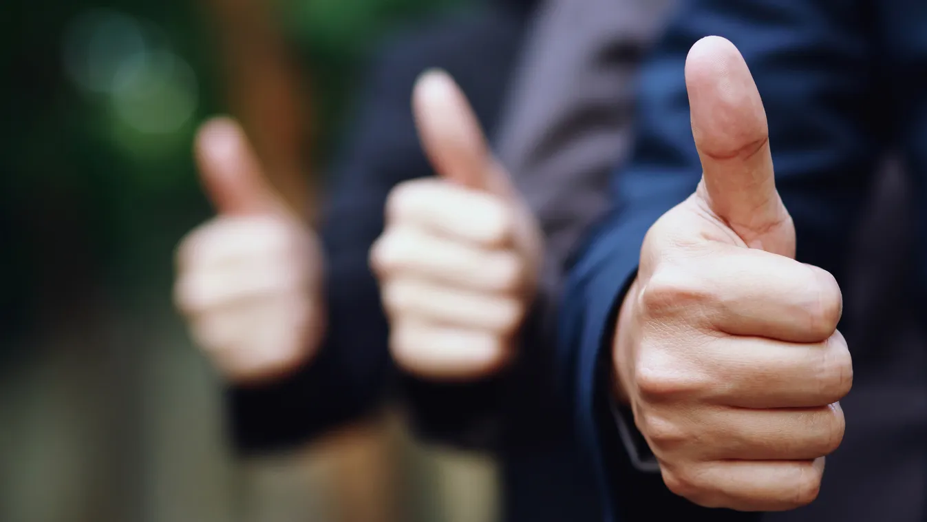 Aranyérmet kapott a Magyar népmesék rajzfilmsorozat megálmodója