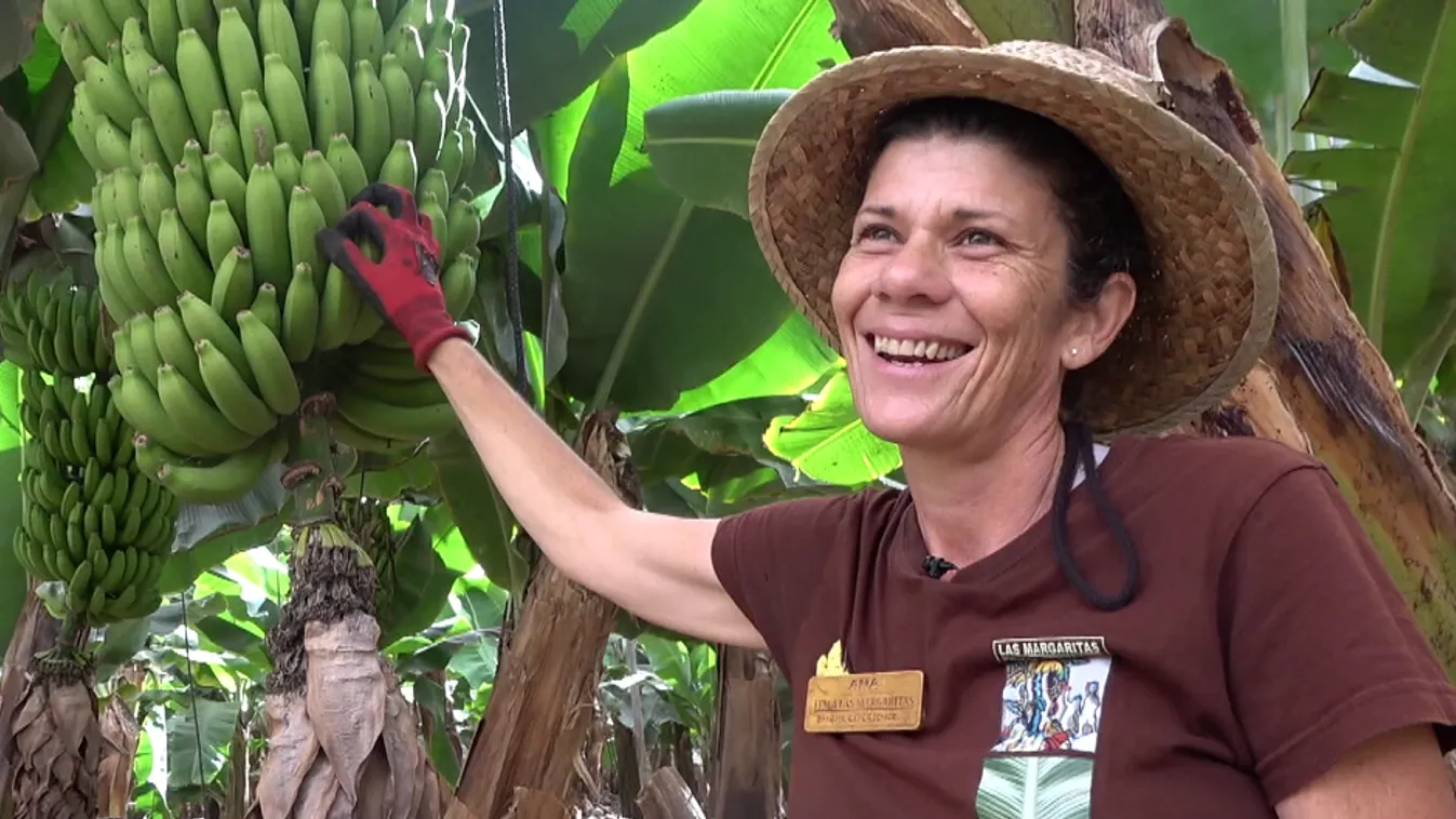 Radar - Ott voltunk a nagyvilágban + videó