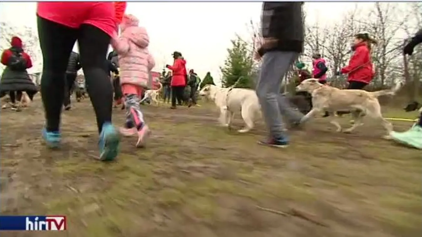 Hiába a figyelmeztetések, sok kutya került bajba Szilveszterkor