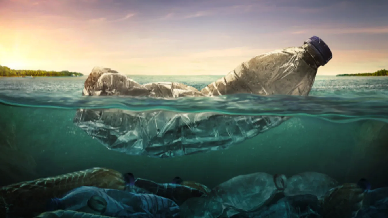 Válságos állapotban vannak a tengerek a túlhalászás és elhanyagolás miatt