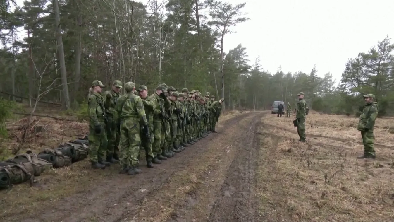 Már nyáron tárgyalhatja a kötelező sorkatonaság kérdését az Európai Parlament + videó