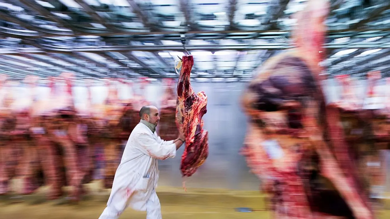 Megvehetik a pápai húsgyárat