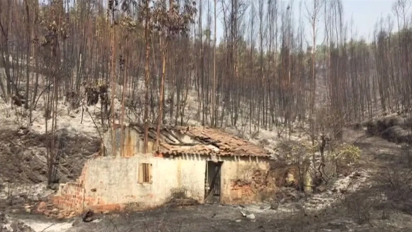 Már 100 kilométer hosszan pusztít a portugáliai erdőtűz