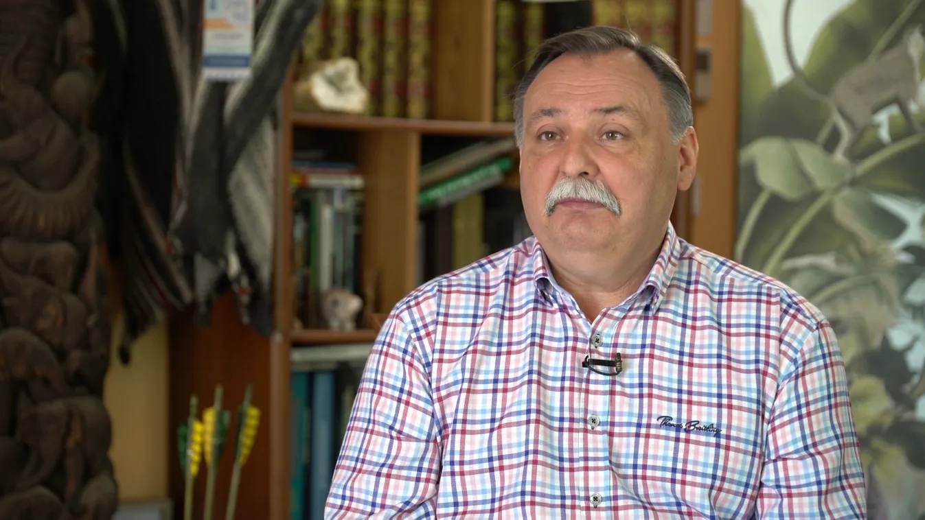 Gyilkos bálnák között csónakázhatunk Nyíregyházán