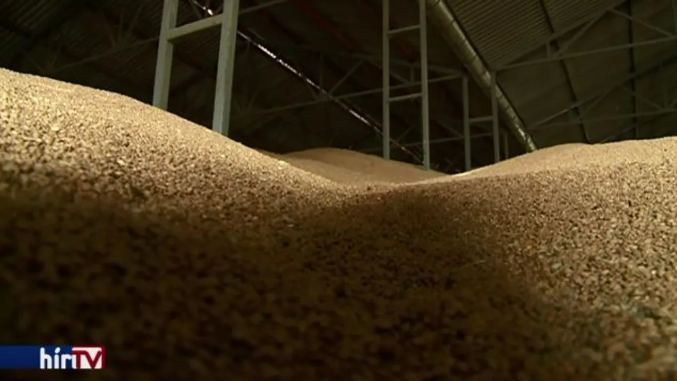 Az elmúlt évtized történései