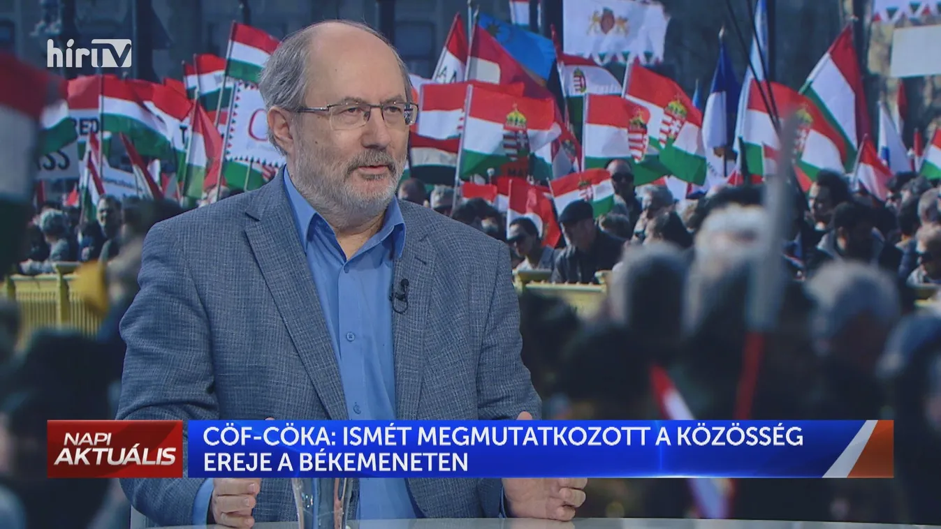 Fricz Tamás: Az ellenzék saját maga ellen is dolgozik