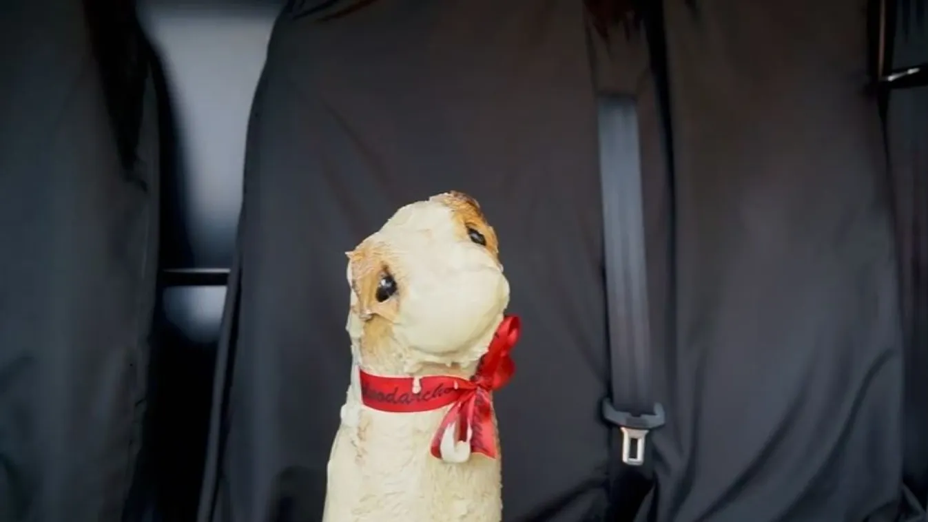 Ne felejtse kedvencét az autóban!