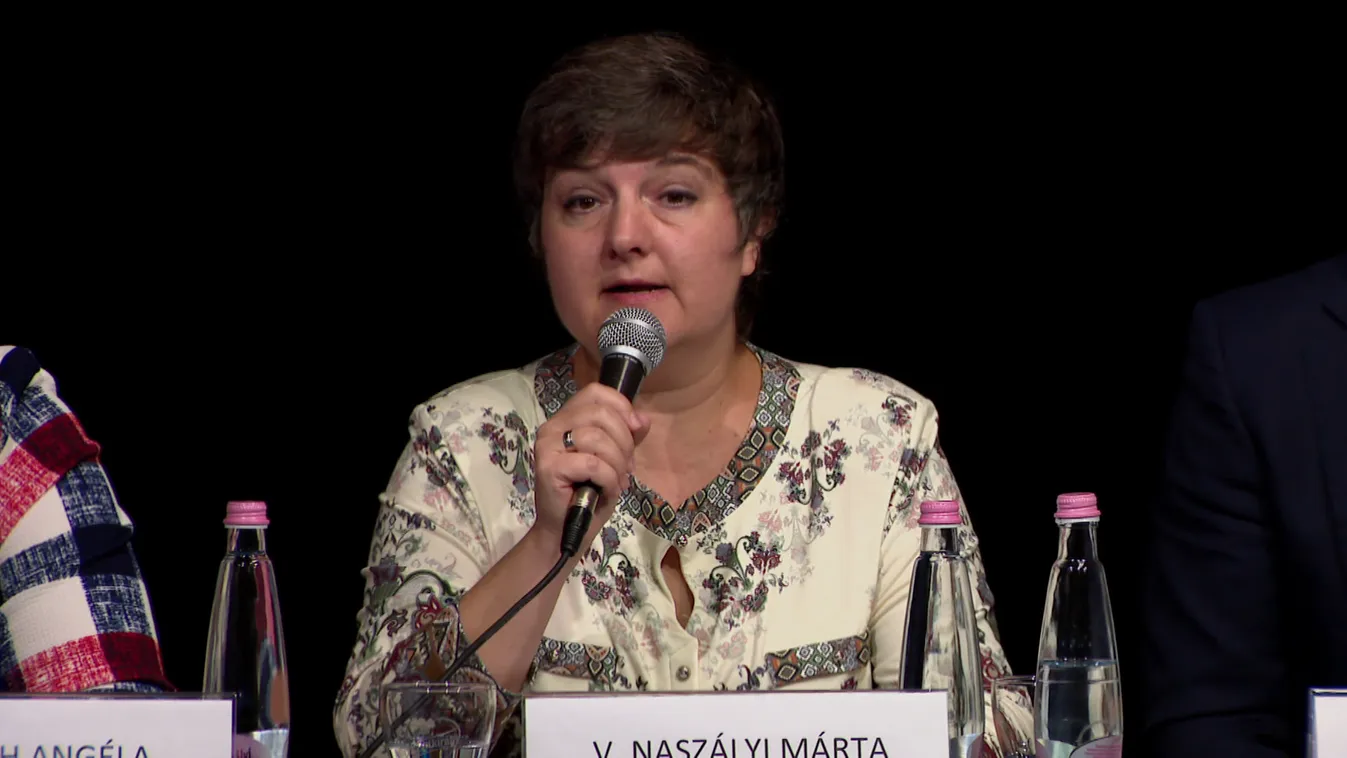 Fegyelmi bizottság vizsgálja az I. kerületi polgármester vesztegetési ügyét + videó