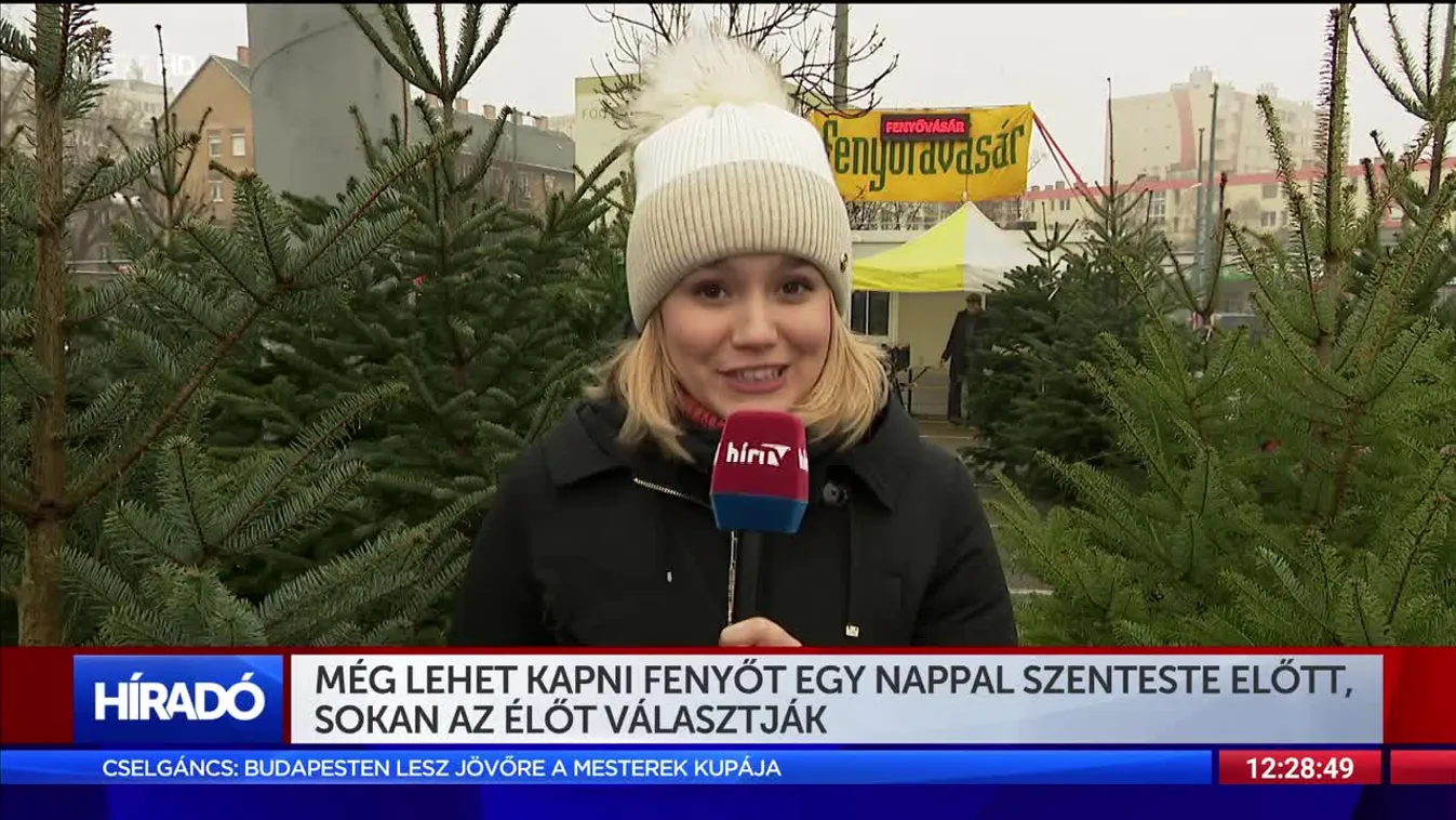 Még lehet kapni fenyőt egy nappal szenteste előtt, sokan az élőt választják
