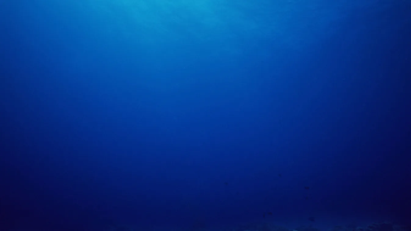 A Metallicáról neveztek el egy mélytengeri rákot