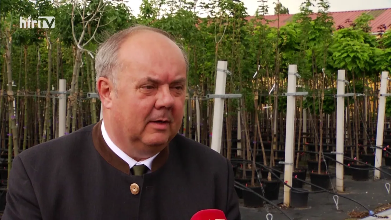 Soroló: Településfásítási program indul