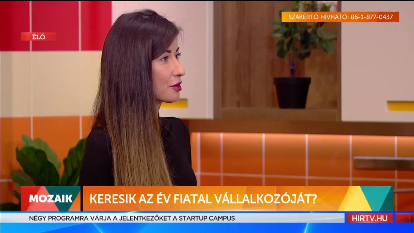 Mozaik: Keresik az év fiatal vállalkozóját