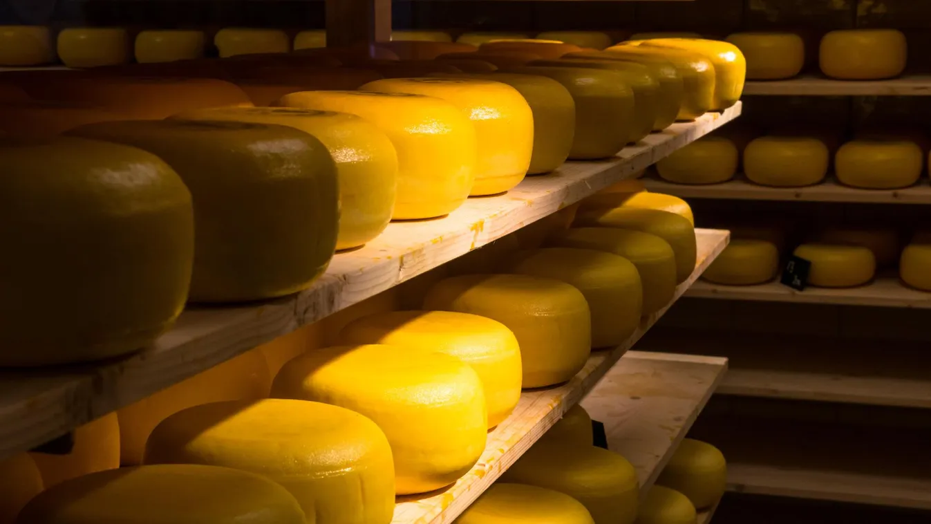 Új sajtüzem épült Szekszárdon