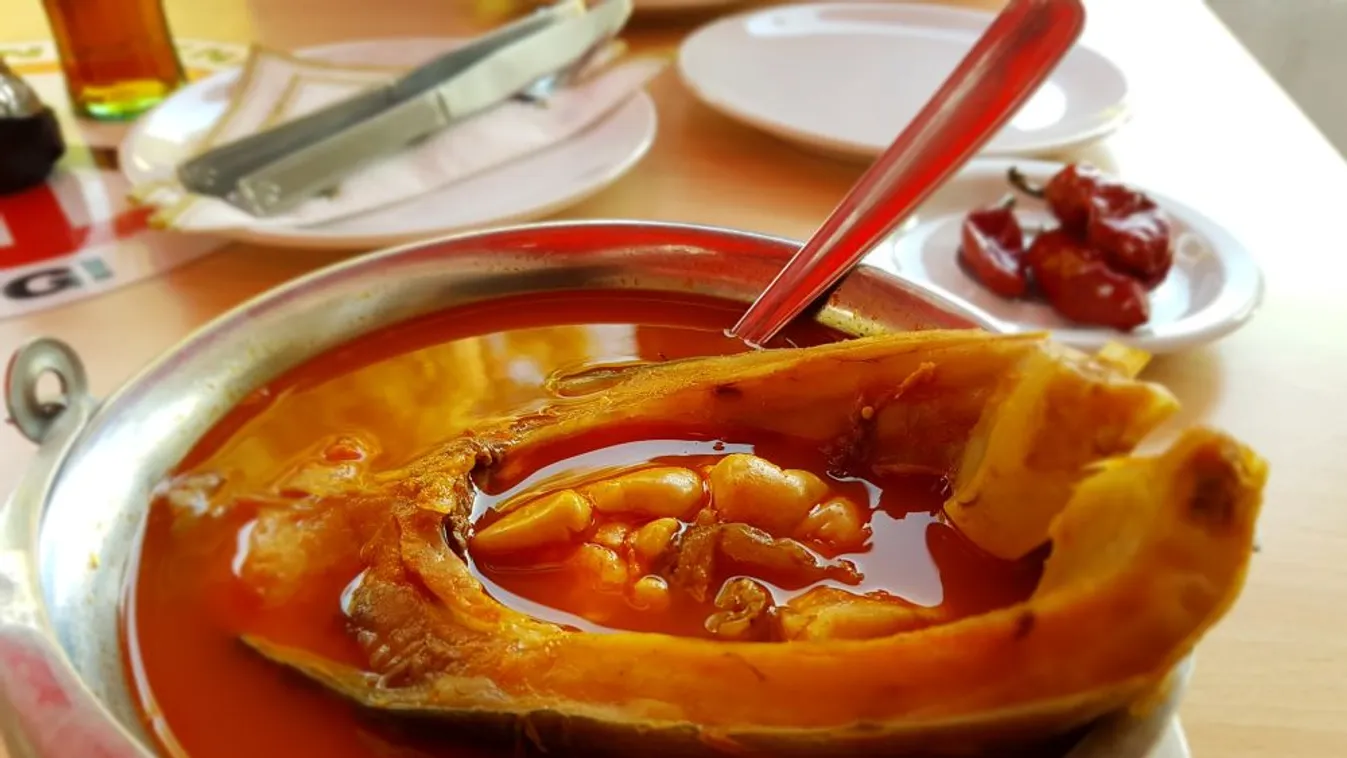 Országos kampány indult a halfogyasztás ösztönzésére