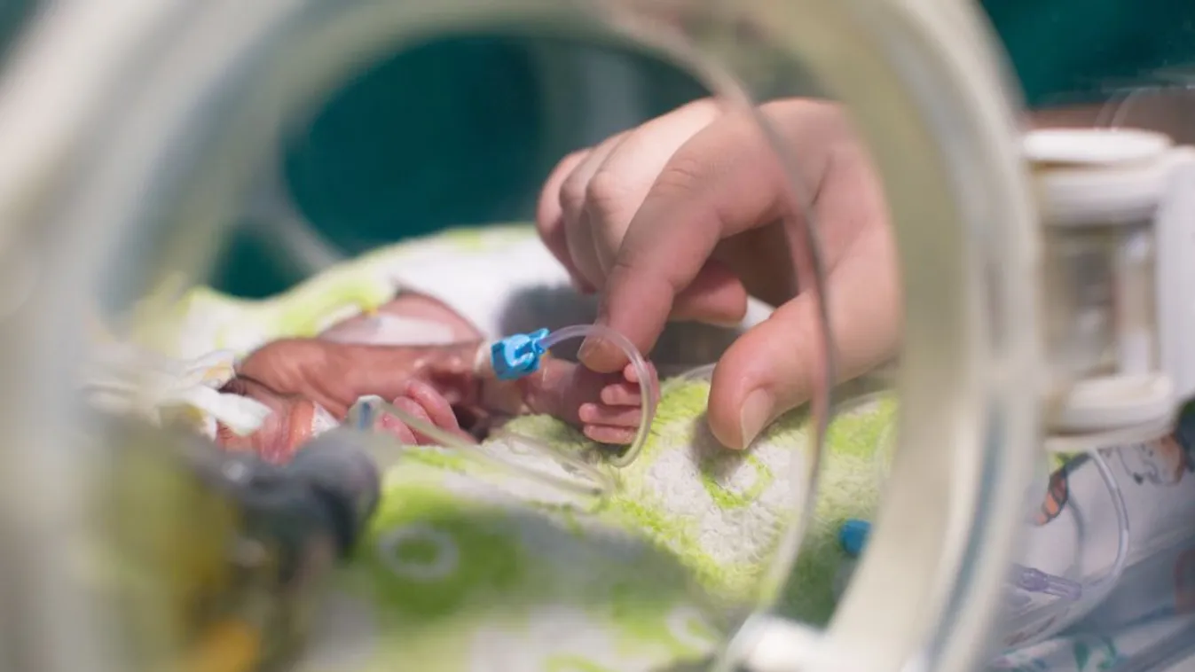 Két inkubátorra is elegendő pénz gyűlt össze a családszervezetek jótékonysági vásárán