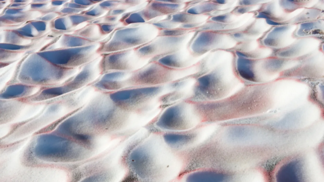 Vérvörösre színezte az Antarktiszt egy hóalga