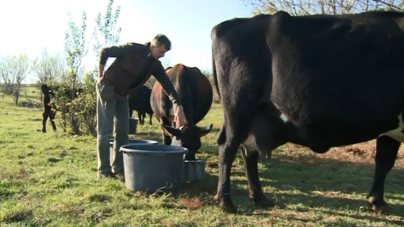 A falusi élet reneszánsza – Soroló
