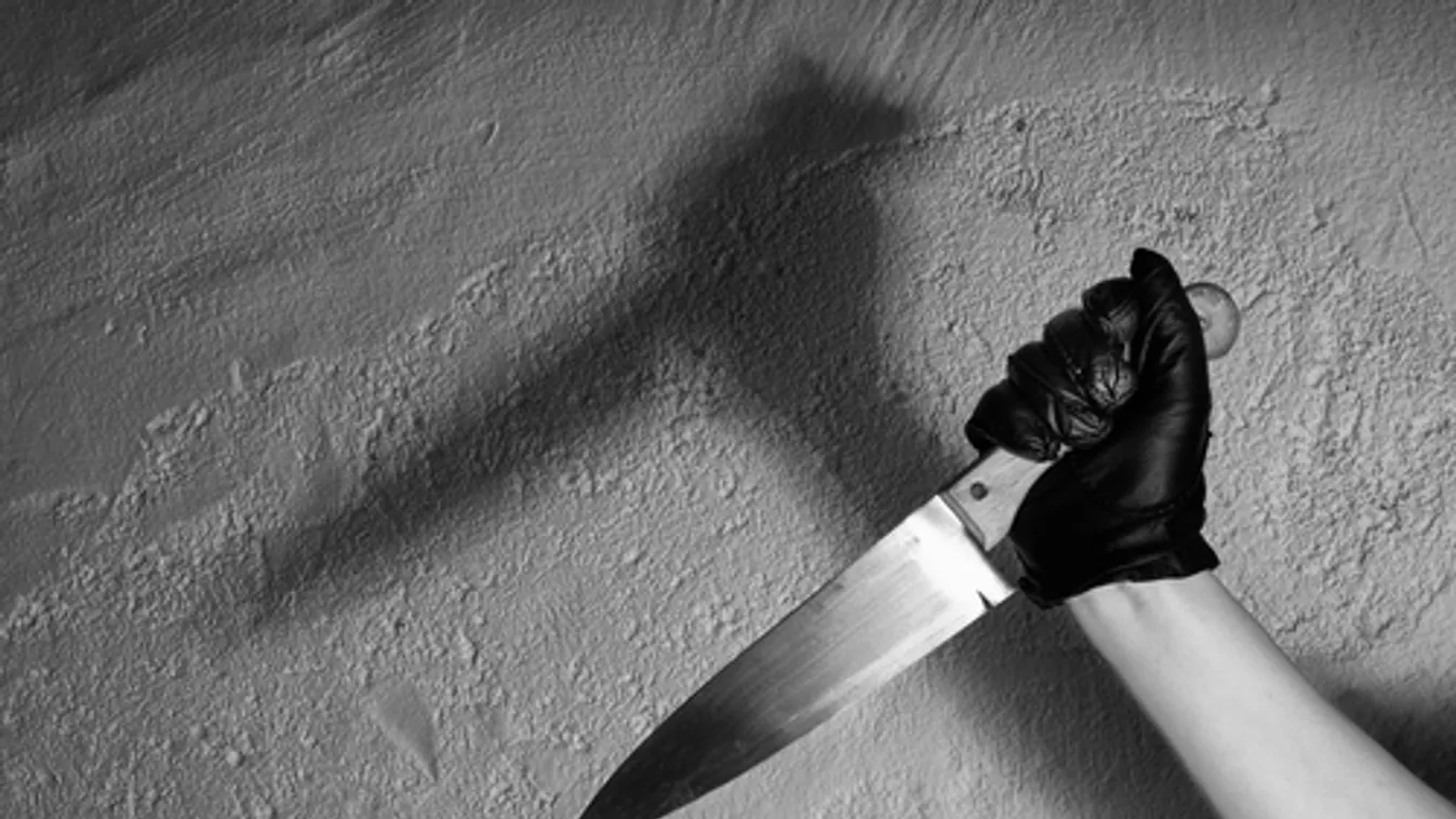 Több embert megölt, illetve megsebesített egy késes támadó Délkelet-Franciaországban