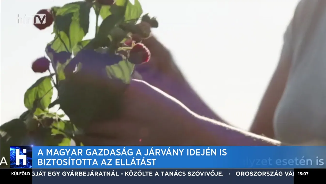 A magyar gazdaság a járvány idején is biztosította az ellátást